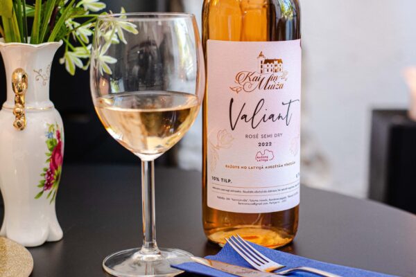 Kandava wine house degustation