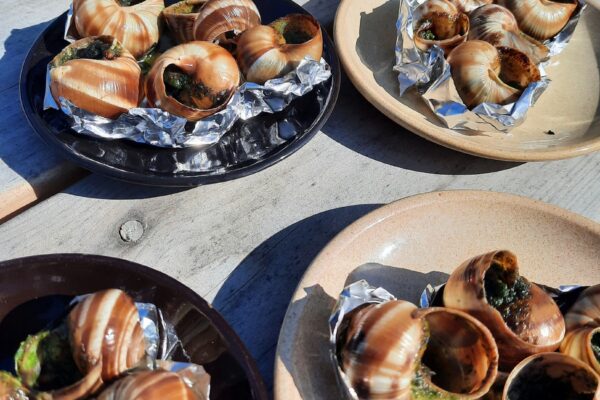 Kandava wine house degustation