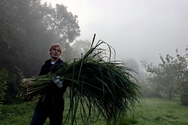 Organic farm "Ragares"