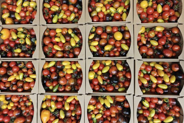 Organic farm "Ragares"