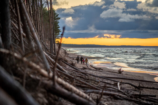 Baltic coast at Ādaži region