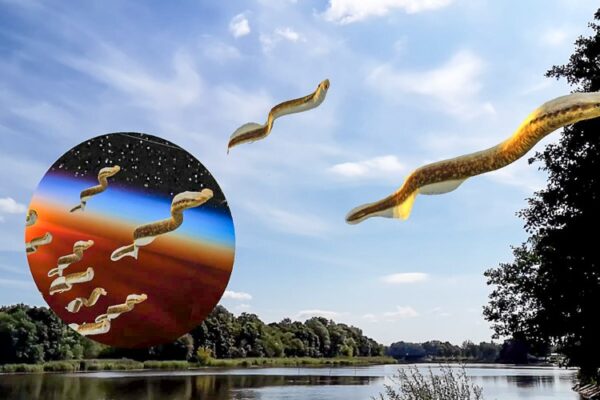 Augmented reality spot on Vecgauja walking path