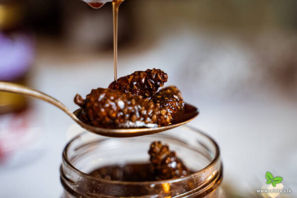 Mītavas Čiekurs pinecone goods