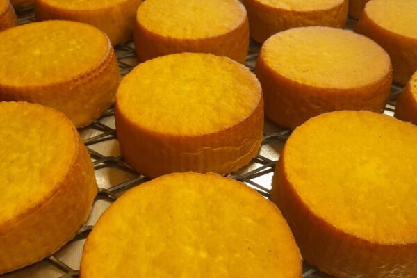 Kazas Bonijas goat cheese