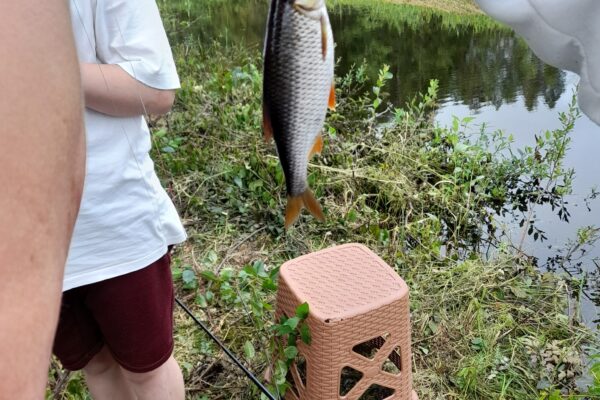 "Made Marija" lake boat cruise and fishing school
