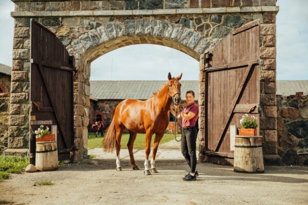 Valmiermuižas stables