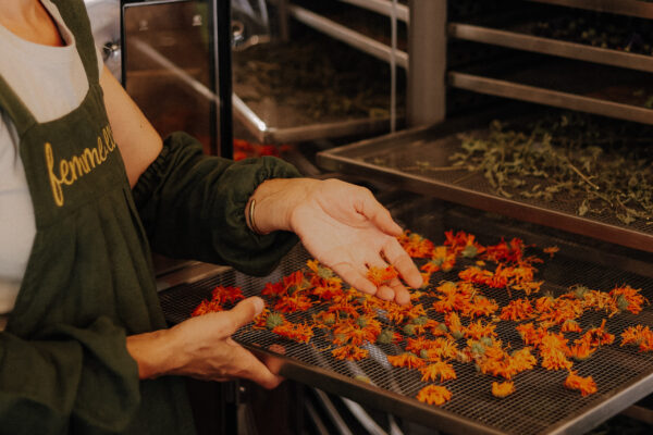 Femme eco herbal tea production