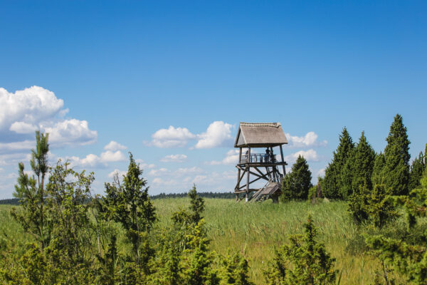Kanieris lake reed footpath and bird-watching tower