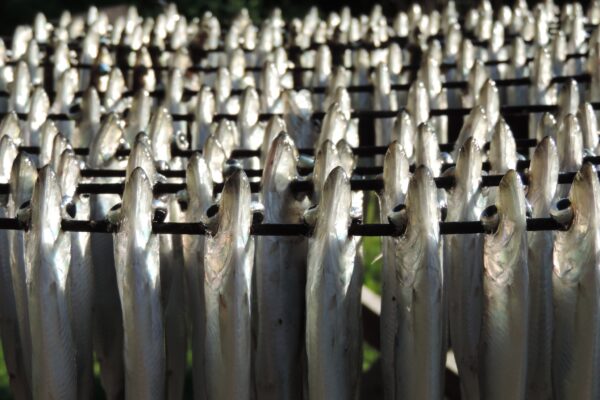 Traditional fish cooking methods