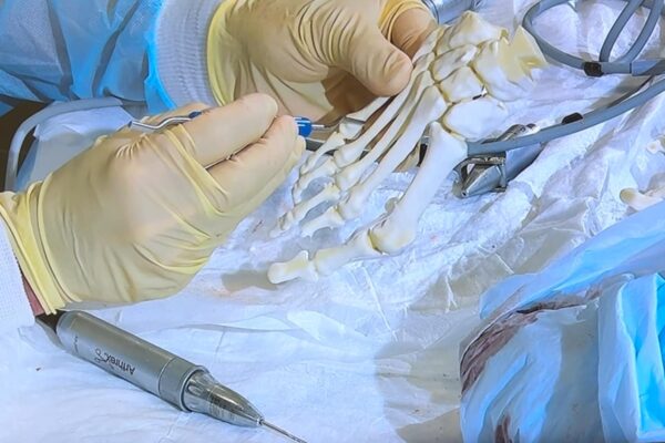 ERTO orthopeadics medical practice