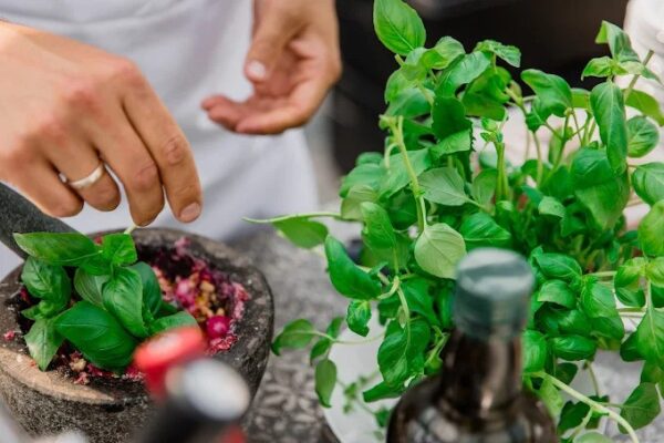 "Gardi Ziedi" edible flowers and herbs in restaurant kitchens