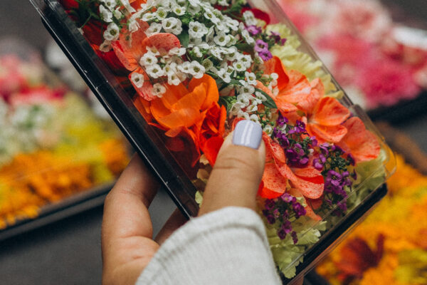 "Gardi Ziedi" edible flowers